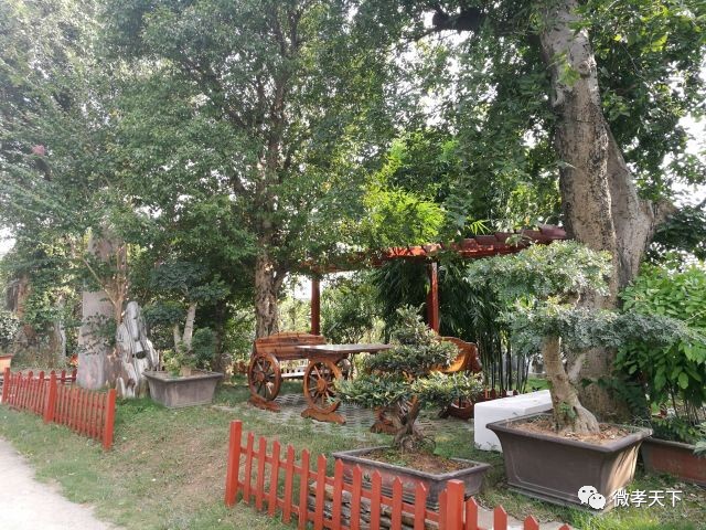 全国网络媒体孝感行:跟着媒体大咖们继续前进,原来咱们孝感的县市区也发展的如此迅速!