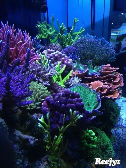 天啊，又是火灾又是炸缸，这可能是最倒霉的鱼友了！