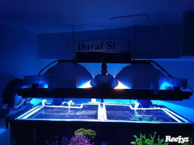 天啊，又是火灾又是炸缸，这可能是最倒霉的鱼友了！