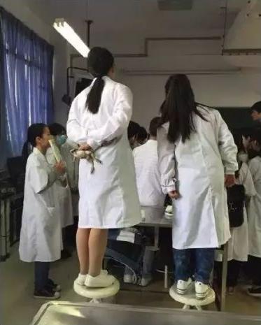 学医的女孩子都比较单纯,学医的女生是不是脾气都很好