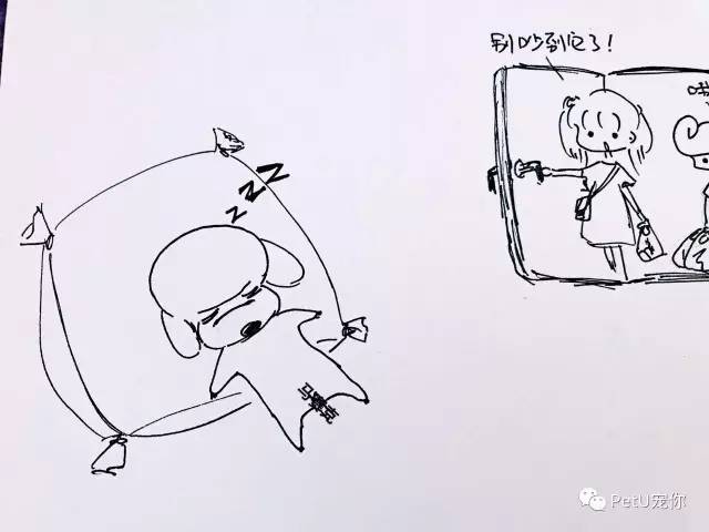 女朋友养狗是一种怎样的体验？