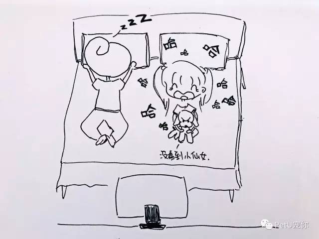 女朋友养狗是一种怎样的体验？