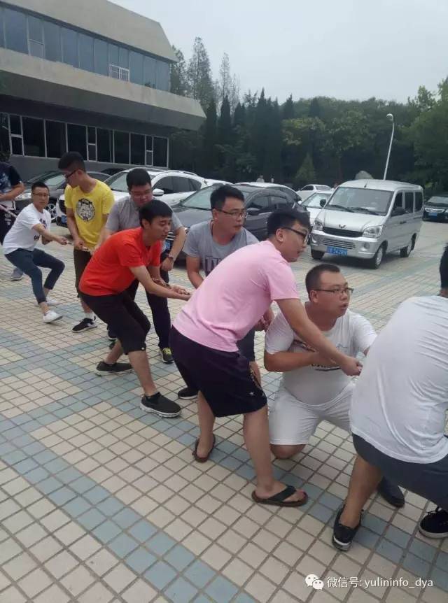 雨琳科技的程序猿们造作了!