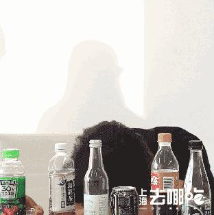 10种最好喝的饮料,最好喝的饮料排行榜前10名