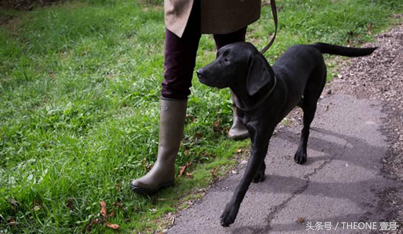我掐指一算，你该买双雨鞋了