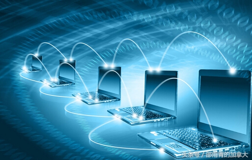 加拿大留学移民哪个专业比较好?