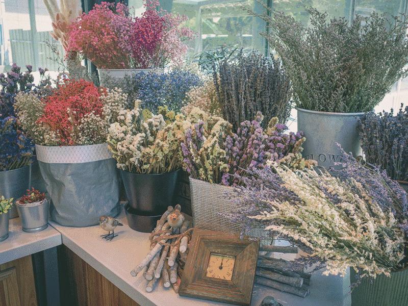 杭州武林门大草坪上270°透明玻璃屋！梦幻甜品咖啡店，童话的甜蜜