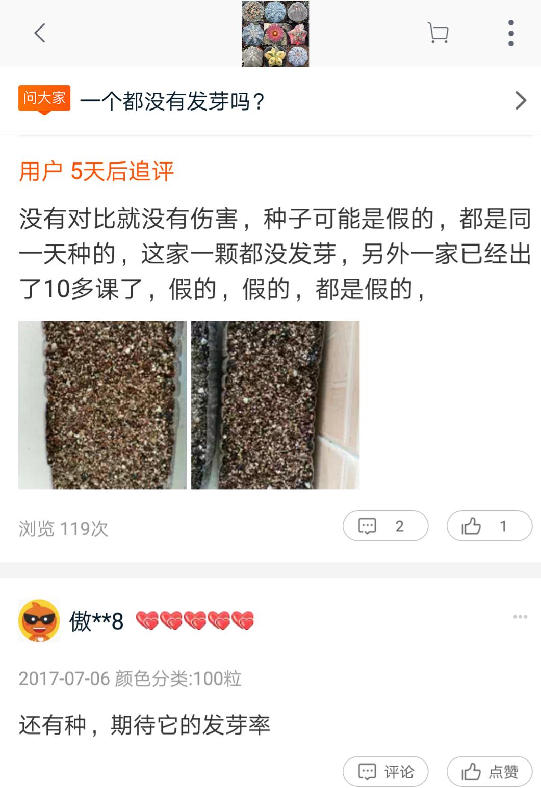 怎么辨别多肉肥料的真假,怎么判断多肉种子的真假