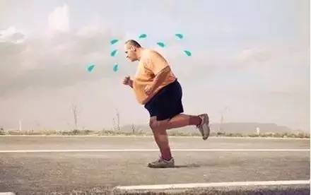 血管堵塞图,我们人体的血管