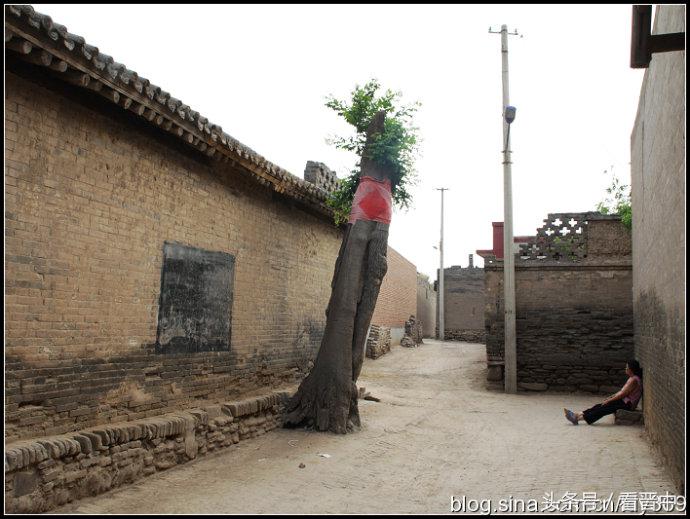 行走在乡野的路上,行走在山野乡间