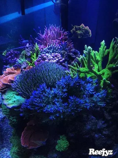 天啊，又是火灾又是炸缸，这可能是最倒霉的鱼友了！