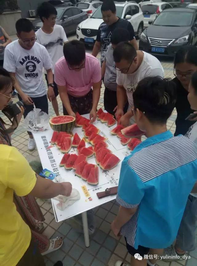 雨琳科技的程序猿们造作了!