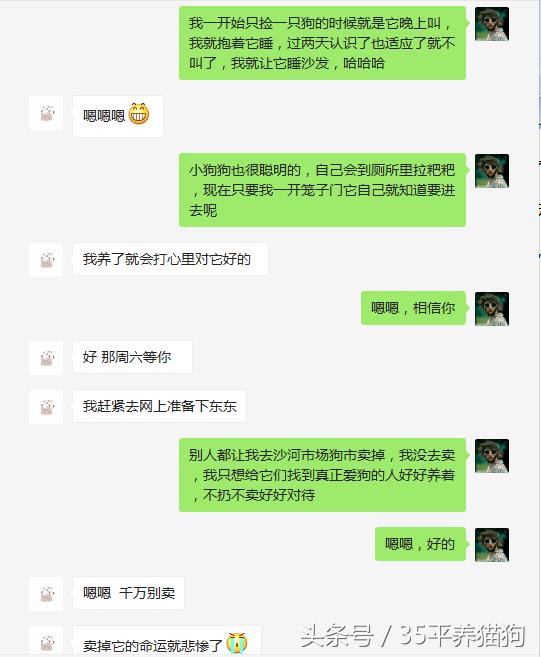 我和我的狗子们:养狗人的心醉幸福二三事儿
