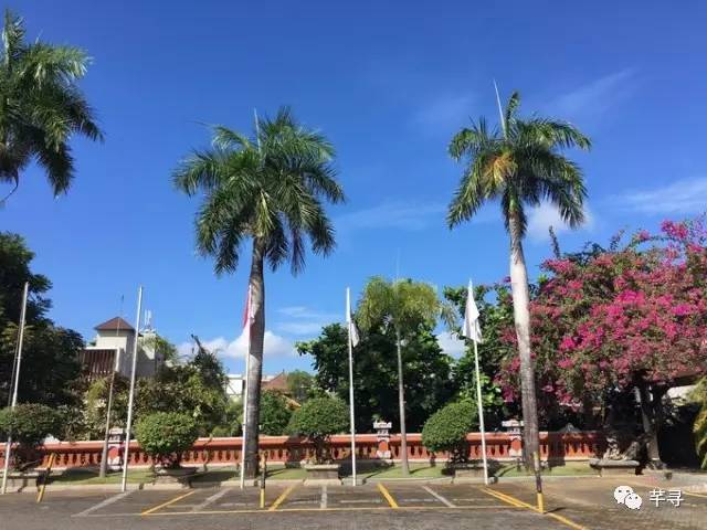 把至亲至爱带到巴厘岛度个假,顺便见证我们南纬8°的浪漫婚礼