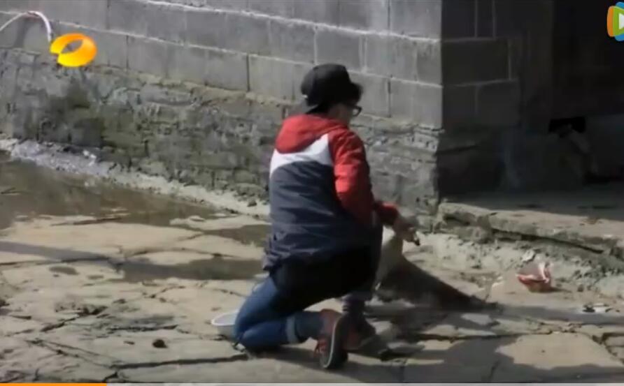 变形计如今的四爷现在怎么样了,变形计四爷主人公