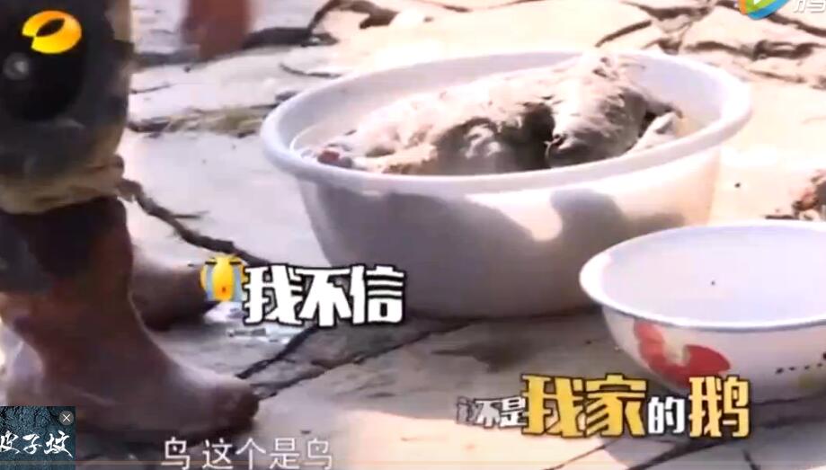 变形计如今的四爷现在怎么样了,变形计四爷主人公