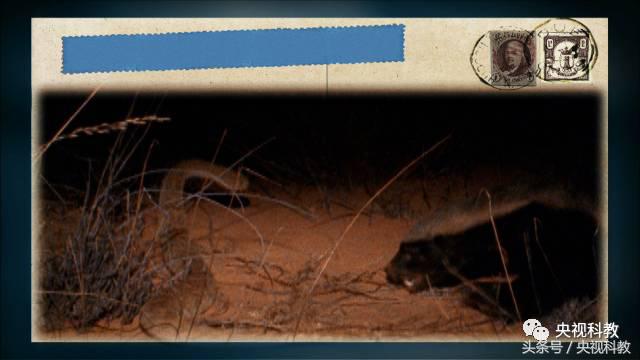 自然传奇怪物之谜,自然传奇未解之谜故事
