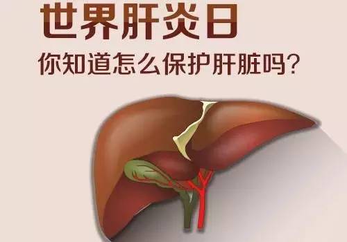 世界肝炎日知识问答,世界肝炎日肝脏最怕你做的五件事
