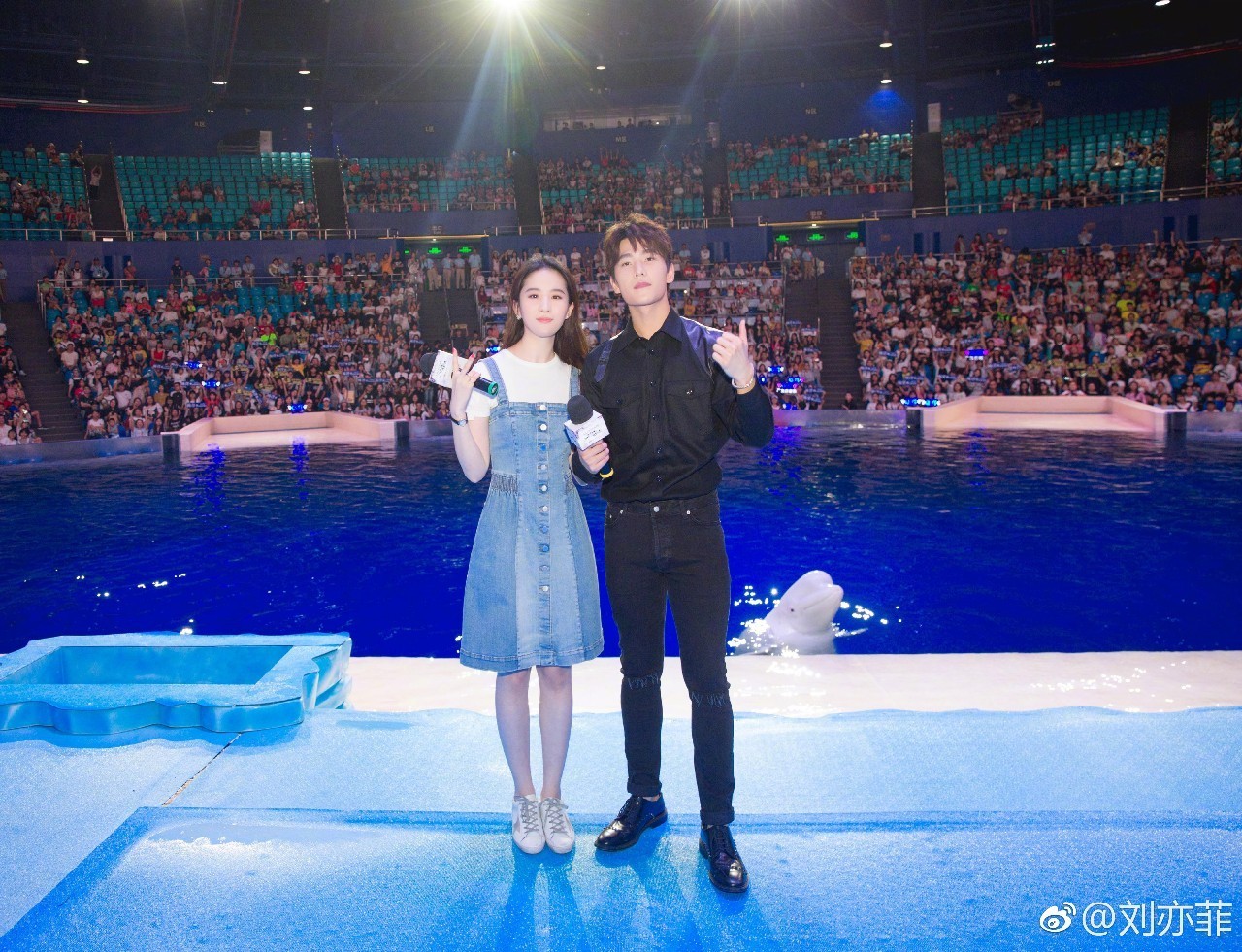 赵薇黄晓明周冬雨中餐厅,赵薇周冬雨高清大图