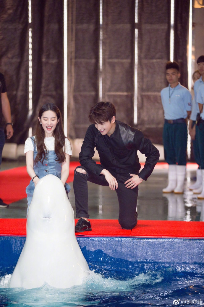 赵薇黄晓明周冬雨中餐厅,赵薇周冬雨高清大图