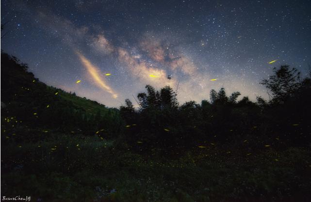 入门级便捷旅行三脚架推荐,爬山便携三脚架