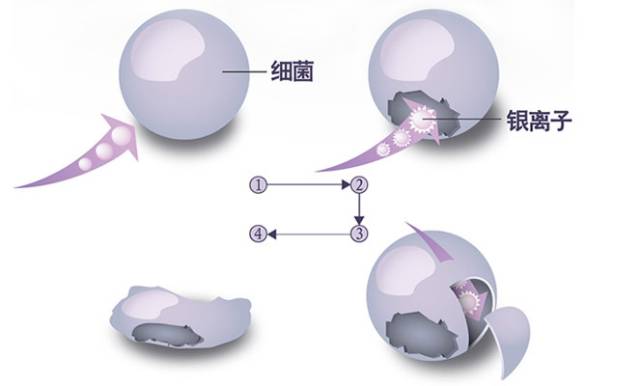 保健品隐藏真相揭秘,曾经火爆神坛的保健品