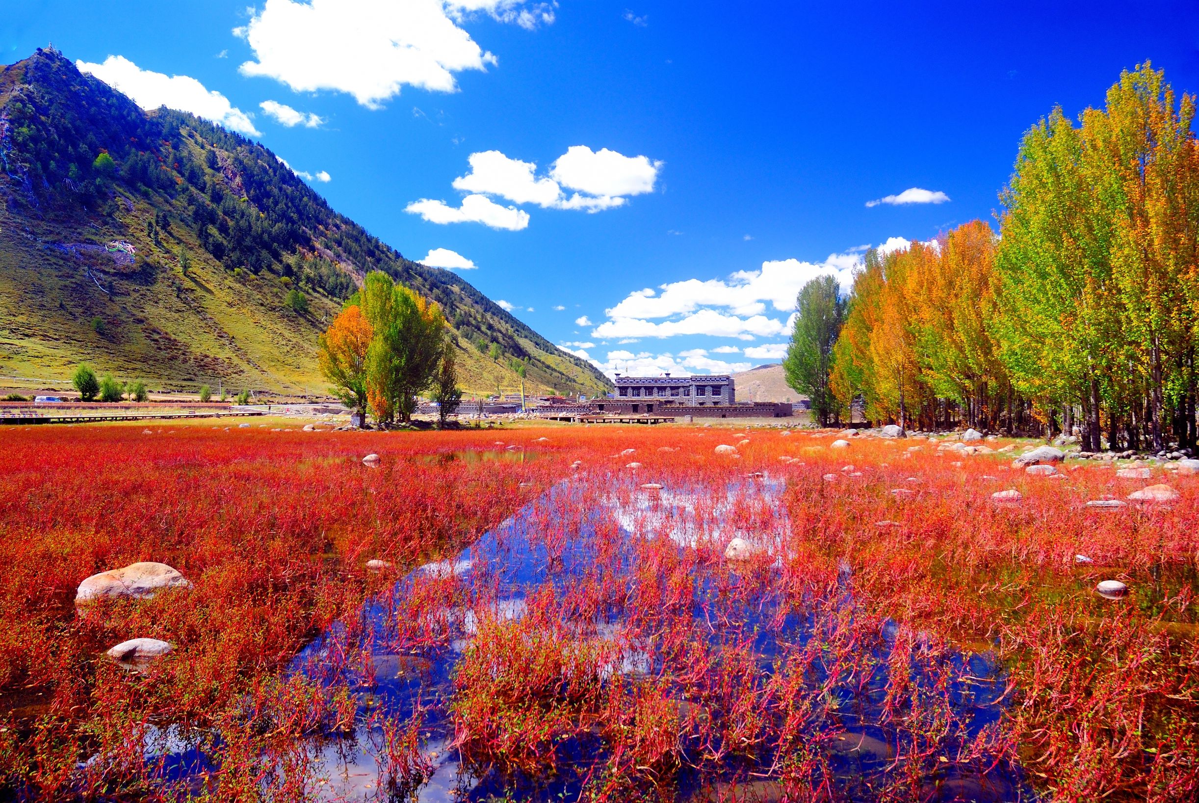 偏振镜的作用明显吗,偏振镜有必要用吗