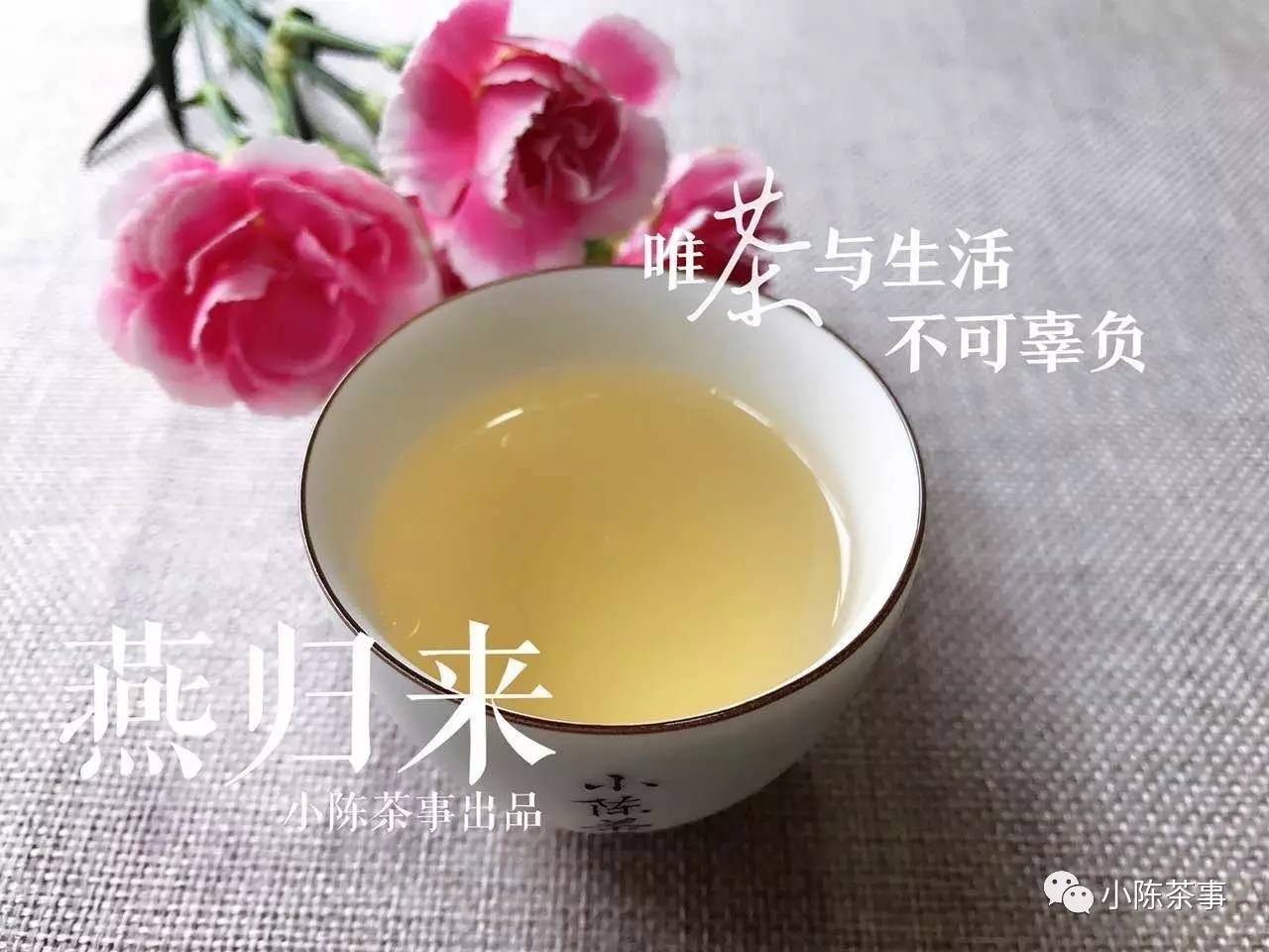 真正的白茶大师是什么样的？