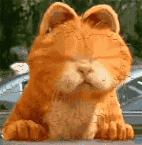 想知道韩国卖的Refa是真是假?那我这边文章统统告诉你