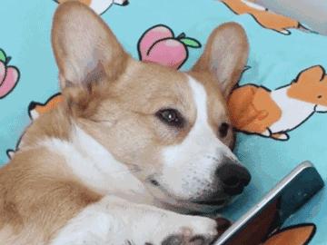 免税店购物退税攻略,出国购物退税攻略