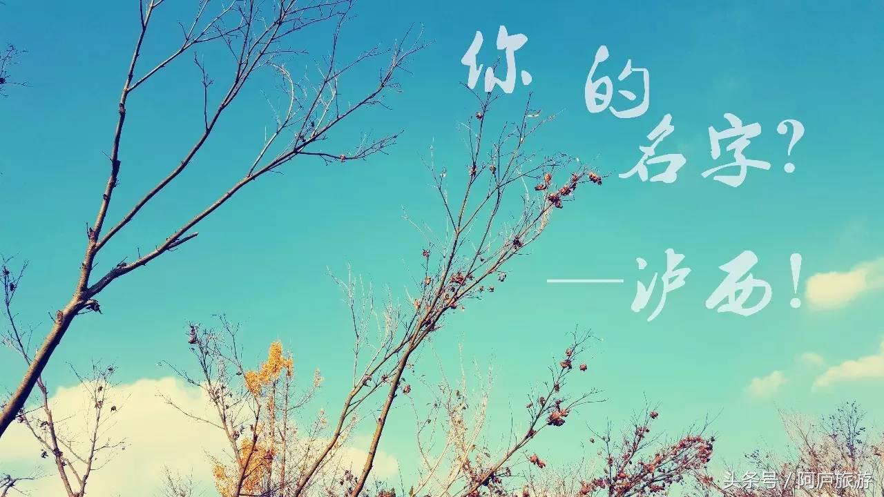 浣犵殑鍚嶅瓧鍗楀崕,浣犵殑鍚嶅瓧鎯呰妭