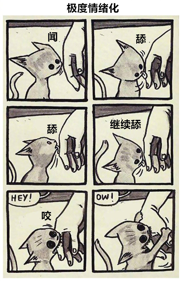 喵星人那些匪夷所思的瞬间,盘点喵星人的无语时刻合集