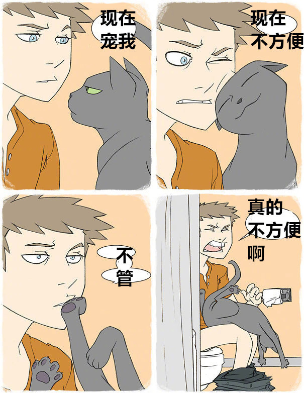 喵星人那些匪夷所思的瞬间,盘点喵星人的无语时刻合集