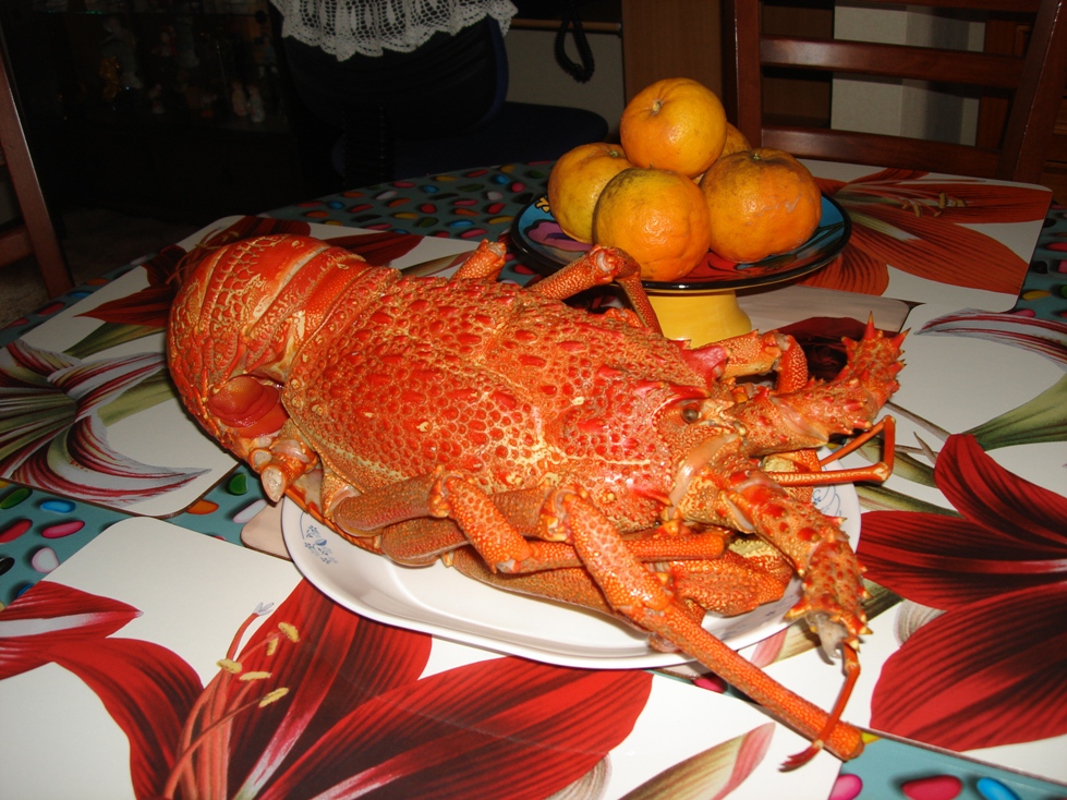 新西兰卡瓦蒂普湖美食,新西兰皇后镇的美食