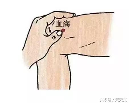 三伏天艾灸最佳穴位下肢,三伏天艾灸补气血穴位