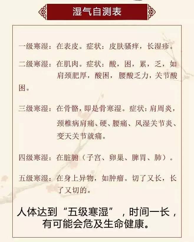 养脾祛湿气最好的茶,补脾祛湿热的茶有哪些