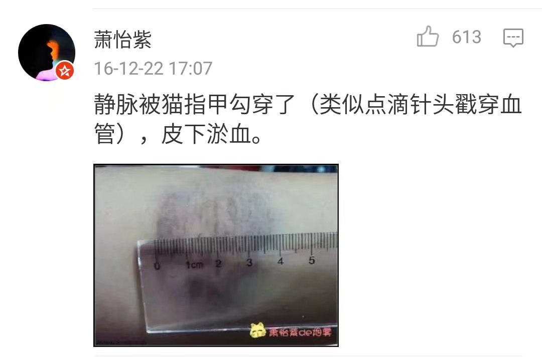 撸猫会不会上瘾,撸猫的正确撸法