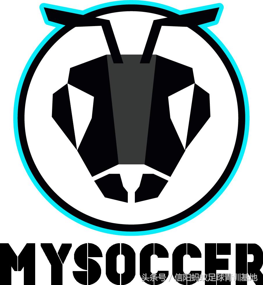 信阳足球比赛,信阳蚂蚁足球俱乐部