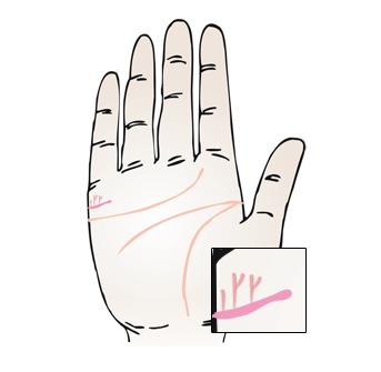 来,贫道教你如何通过手相来看自己后代运势,很多人并不知道可通过手相来判断生男生女