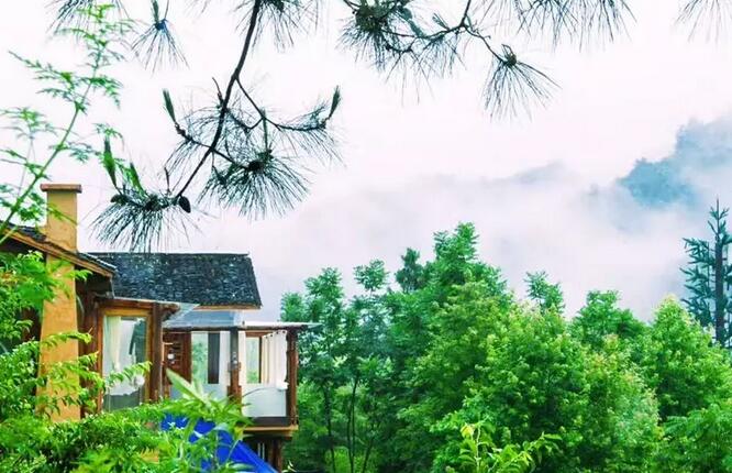 一对夫妻，在《阿凡达》的取景地，改造老宅，收获了完美的人生