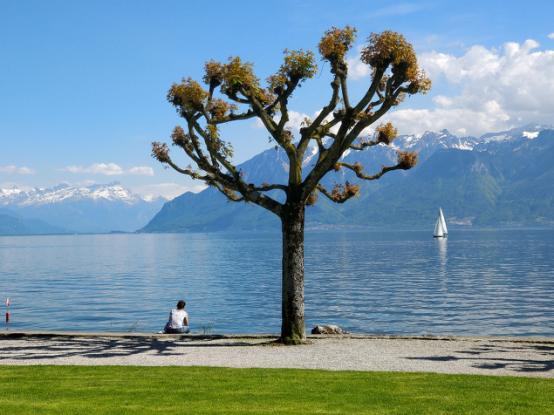 一加手机高级性价比排行榜,高端旗舰一加