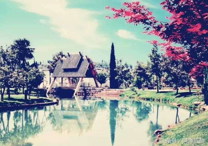 浣犵殑鍚嶅瓧鍗楀崕,浣犵殑鍚嶅瓧鎯呰妭