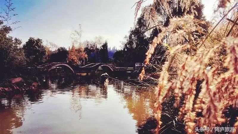 浣犵殑鍚嶅瓧鍗楀崕,浣犵殑鍚嶅瓧鎯呰妭