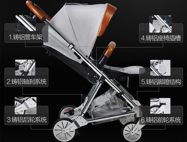 智力问答答案在哪里,智力问答有答案