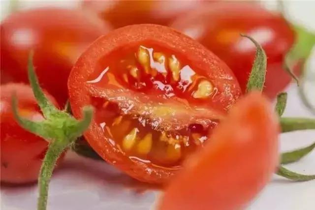 人类驯化食材,人类驯化植物