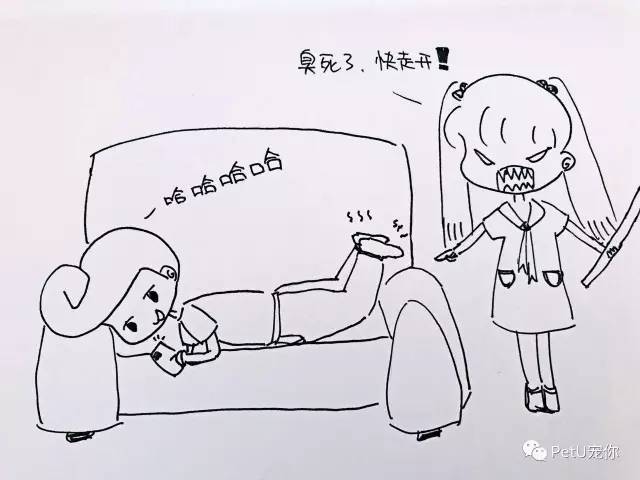 女朋友养狗是一种怎样的体验？