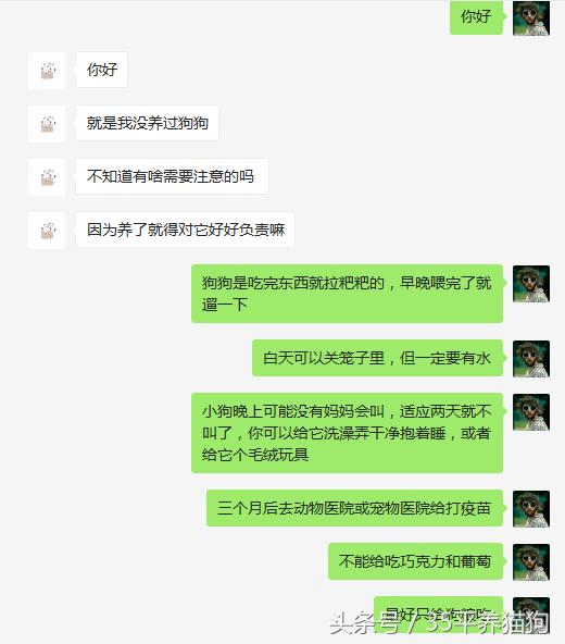 我和我的狗子们:养狗人的心醉幸福二三事儿