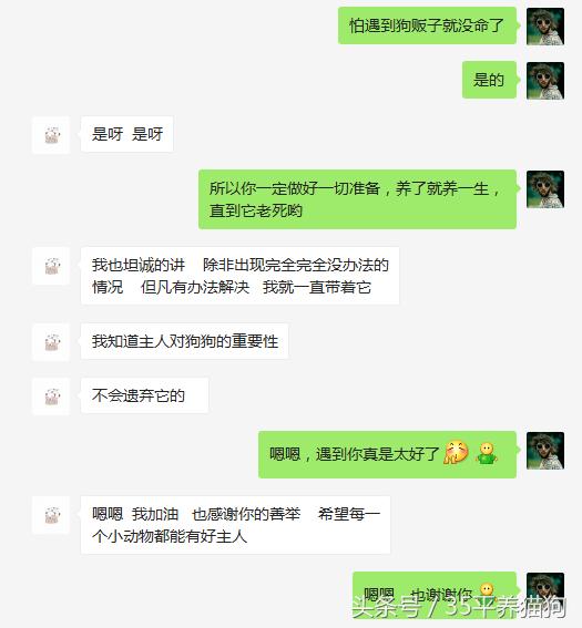 我和我的狗子们:养狗人的心醉幸福二三事儿