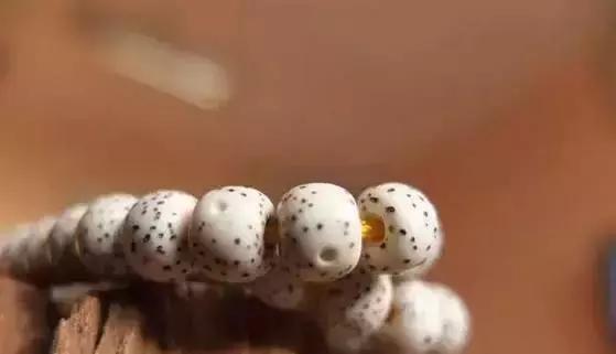 星月入门指南|这几个问题你不懂就糗大了