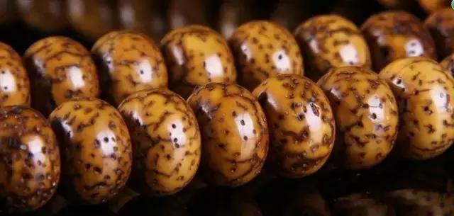 星月入门指南|这几个问题你不懂就糗大了